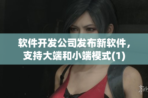软件开发公司发布新软件，支持大端和小端模式(1)