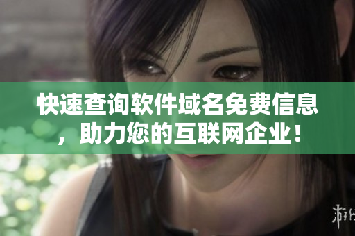 快速查询软件域名免费信息，助力您的互联网企业！