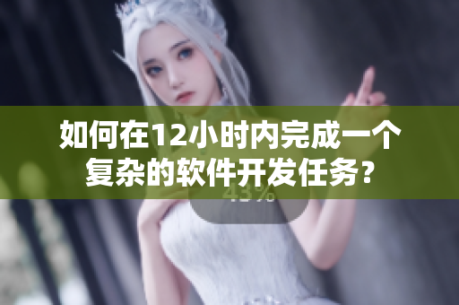 如何在12小时内完成一个复杂的软件开发任务？