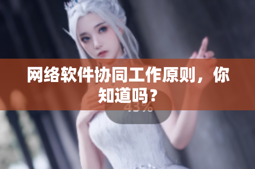 网络软件协同工作原则，你知道吗？