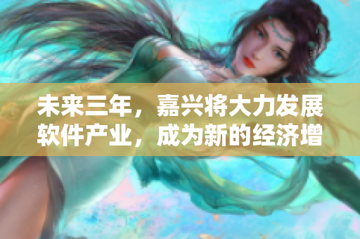 未来三年，嘉兴将大力发展软件产业，成为新的经济增长点