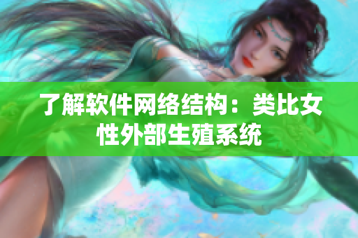 了解软件网络结构：类比女性外部生殖系统