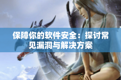 保障你的软件安全：探讨常见漏洞与解决方案
