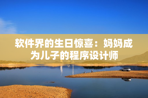 软件界的生日惊喜：妈妈成为儿子的程序设计师