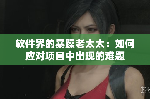 软件界的暴躁老太太：如何应对项目中出现的难题