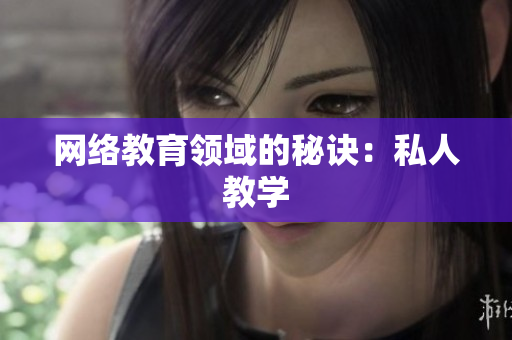 网络教育领域的秘诀：私人教学