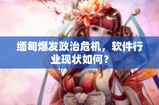 缅甸爆发政治危机，软件行业现状如何？