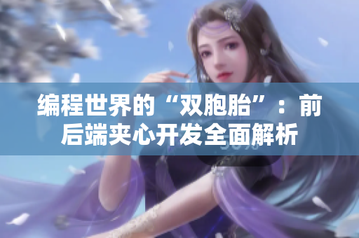 编程世界的“双胞胎”：前后端夹心开发全面解析