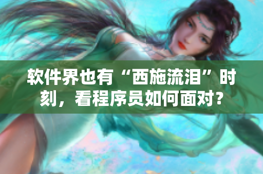 软件界也有“西施流泪”时刻，看程序员如何面对？