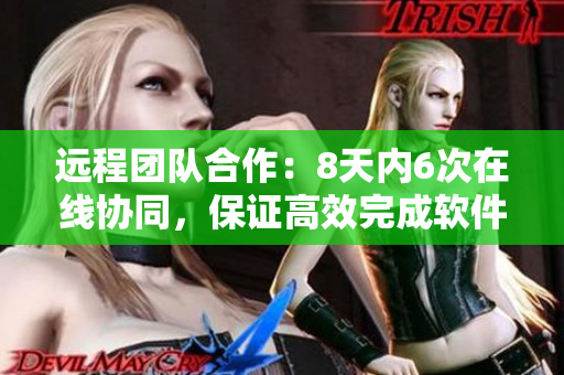 远程团队合作：8天内6次在线协同，保证高效完成软件开发！