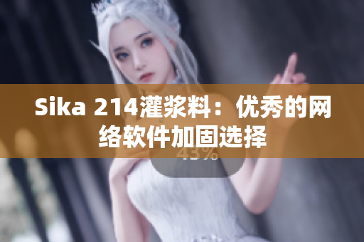 Sika 214灌浆料：优秀的网络软件加固选择