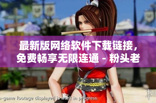 最新版网络软件下载链接，免费畅享无限连通 - 粉头老版本完整升级