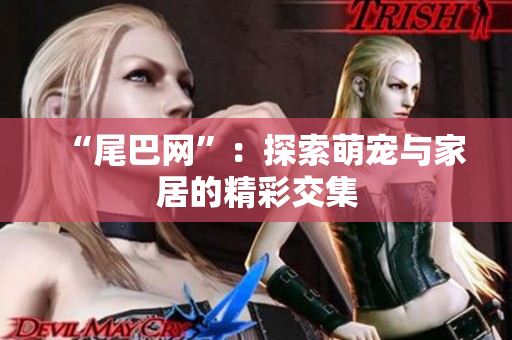 “尾巴网”：探索萌宠与家居的精彩交集