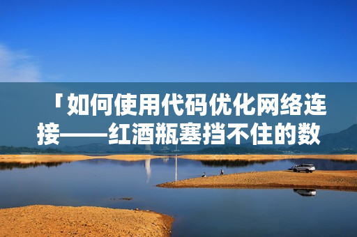 「如何使用代码优化网络连接——红酒瓶塞挡不住的数据传输」
