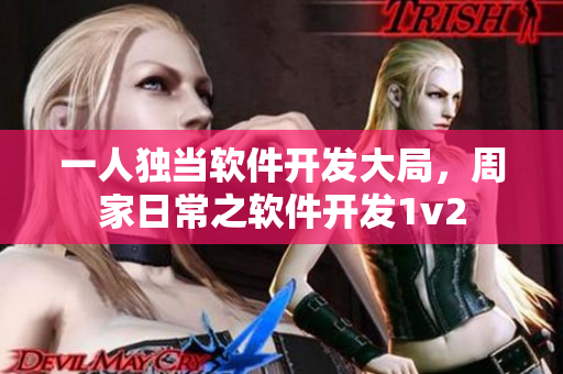 一人独当软件开发大局，周家日常之软件开发1v2