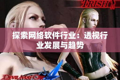 探索网络软件行业：透视行业发展与趋势