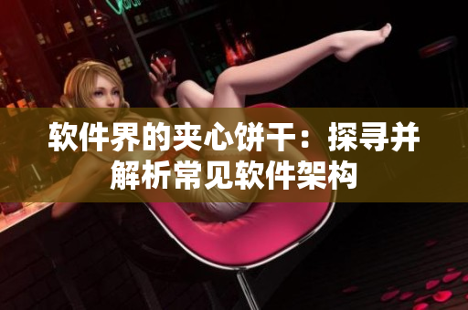 软件界的夹心饼干：探寻并解析常见软件架构