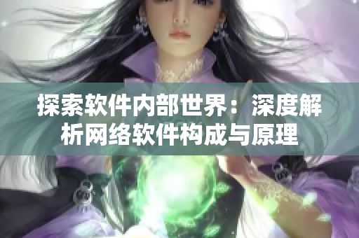 探索软件内部世界：深度解析网络软件构成与原理