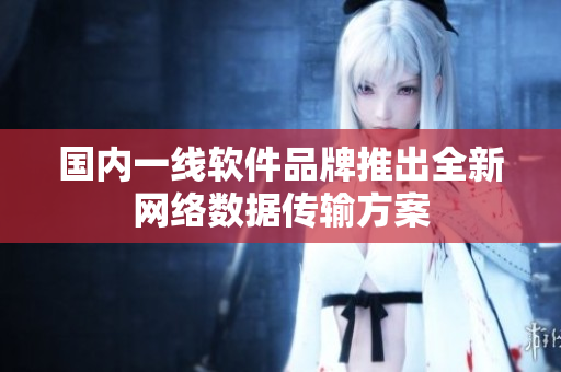 国内一线软件品牌推出全新网络数据传输方案