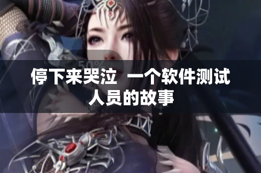 停下来哭泣  一个软件测试人员的故事