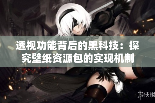 透视功能背后的黑科技：探究壁纸资源包的实现机制