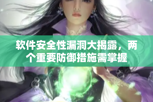 软件安全性漏洞大揭露，两个重要防御措施需掌握
