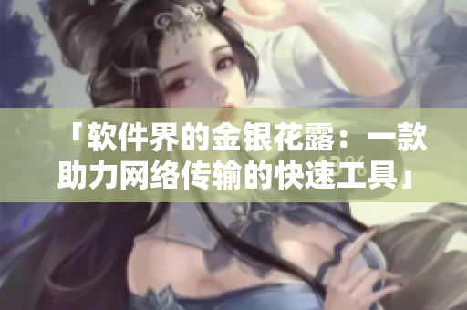 「软件界的金银花露：一款助力网络传输的快速工具」