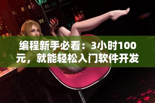编程新手必看：3小时100元，就能轻松入门软件开发！