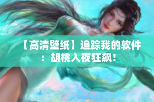 【高清壁纸】追踪我的软件：胡桃入夜狂飙！