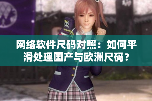 网络软件尺码对照：如何平滑处理国产与欧洲尺码？