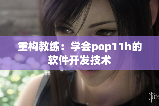 重构教练：学会pop11h的软件开发技术
