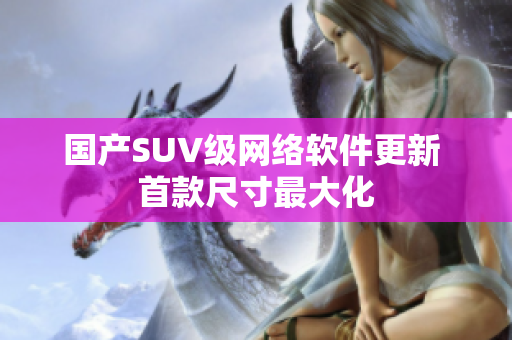 国产SUV级网络软件更新 首款尺寸最大化