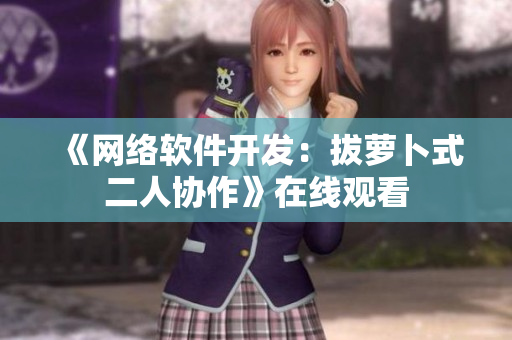 《网络软件开发：拔萝卜式二人协作》在线观看