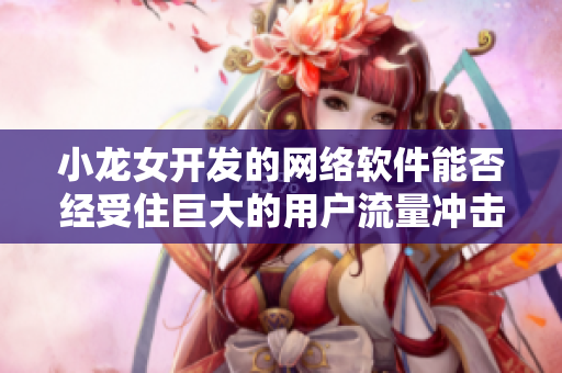 小龙女开发的网络软件能否经受住巨大的用户流量冲击？