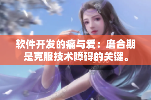 软件开发的痛与爱：磨合期是克服技术障碍的关键。