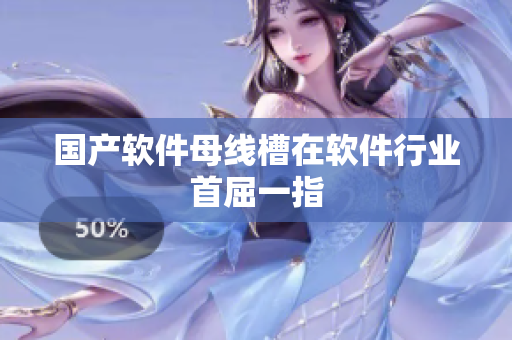 国产软件母线槽在软件行业首屈一指