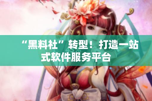 “黑料社”转型！打造一站式软件服务平台