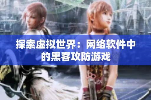 探索虚拟世界：网络软件中的黑客攻防游戏