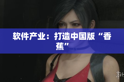 软件产业：打造中国版“香蕉”