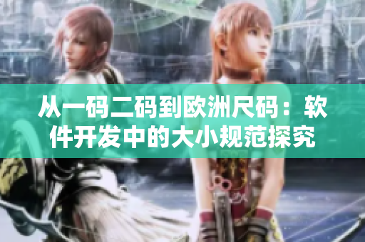从一码二码到欧洲尺码：软件开发中的大小规范探究