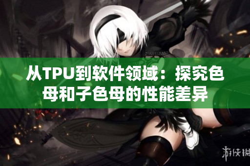 从TPU到软件领域：探究色母和子色母的性能差异