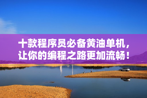 十款程序员必备黄油单机，让你的编程之路更加流畅！