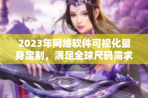 2023年网络软件可视化量身定制，满足全球尺码需求