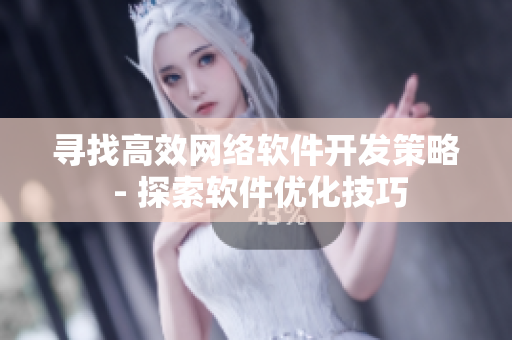 寻找高效网络软件开发策略 - 探索软件优化技巧
