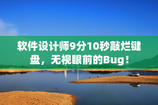 软件设计师9分10秒敲烂键盘，无视眼前的Bug！