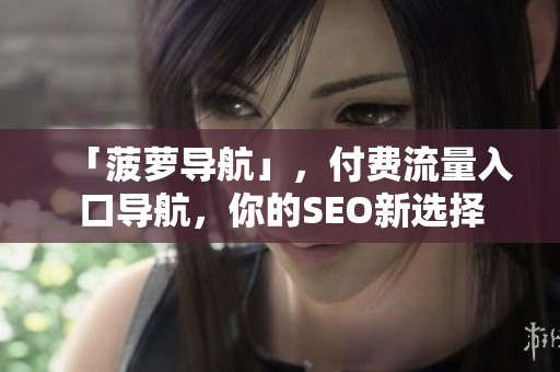 「菠萝导航」，付费流量入口导航，你的SEO新选择