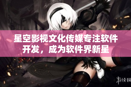 星空影视文化传媒专注软件开发，成为软件界新星
