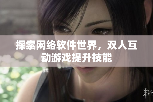 探索网络软件世界，双人互动游戏提升技能