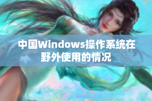 中国Windows操作系统在野外使用的情况