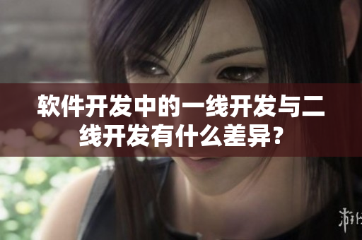 软件开发中的一线开发与二线开发有什么差异？